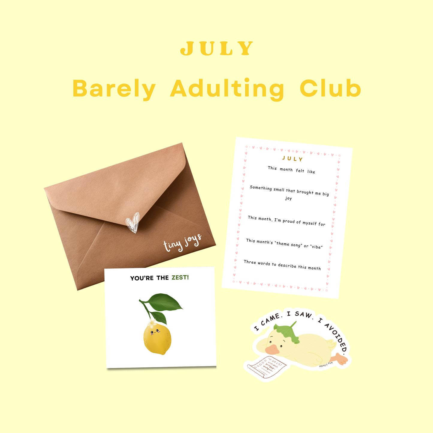 Barely Adulting Club - Monthly Subscription